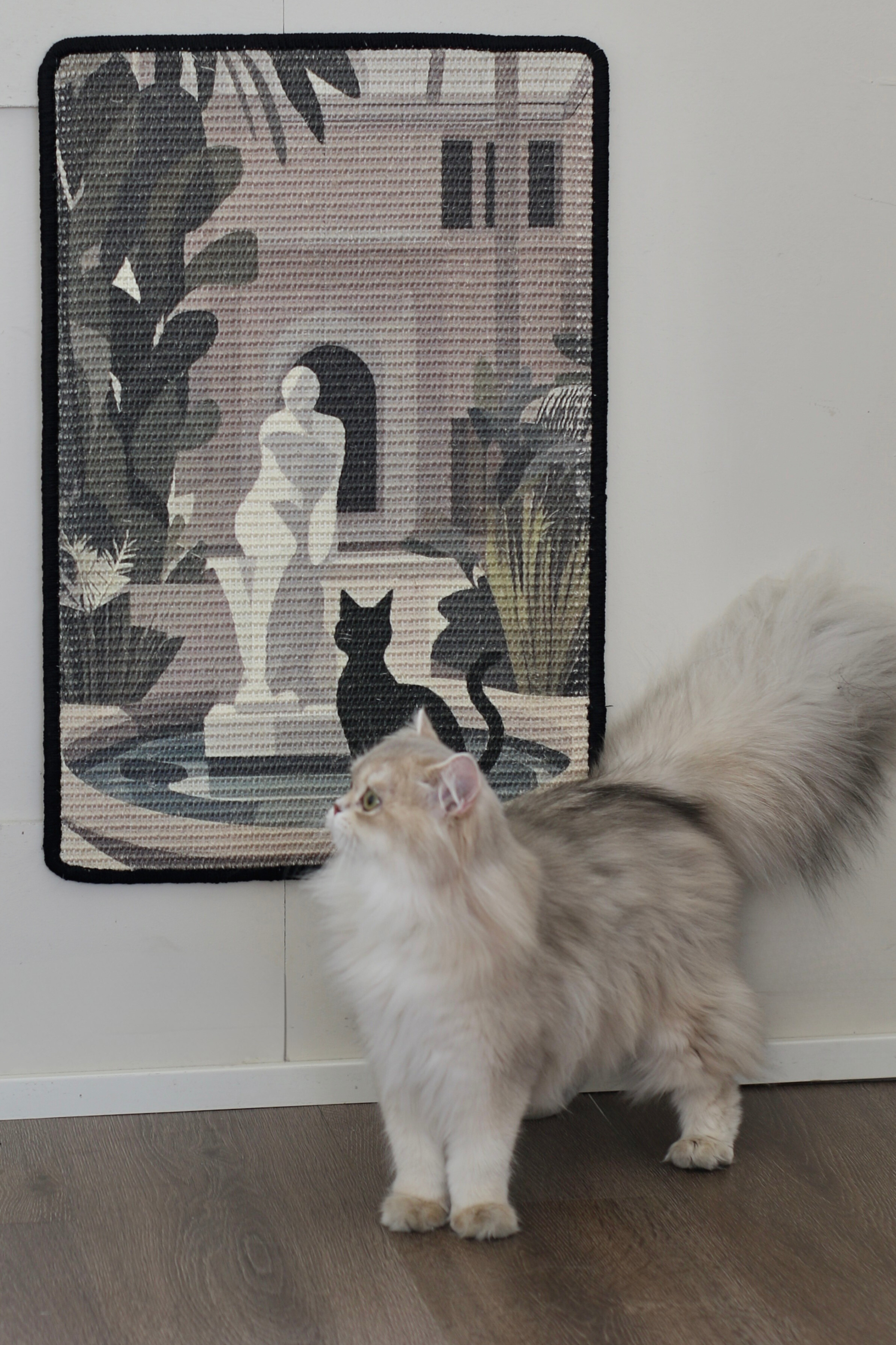Shop for Cats