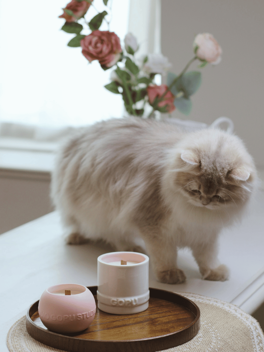 Blush Rose