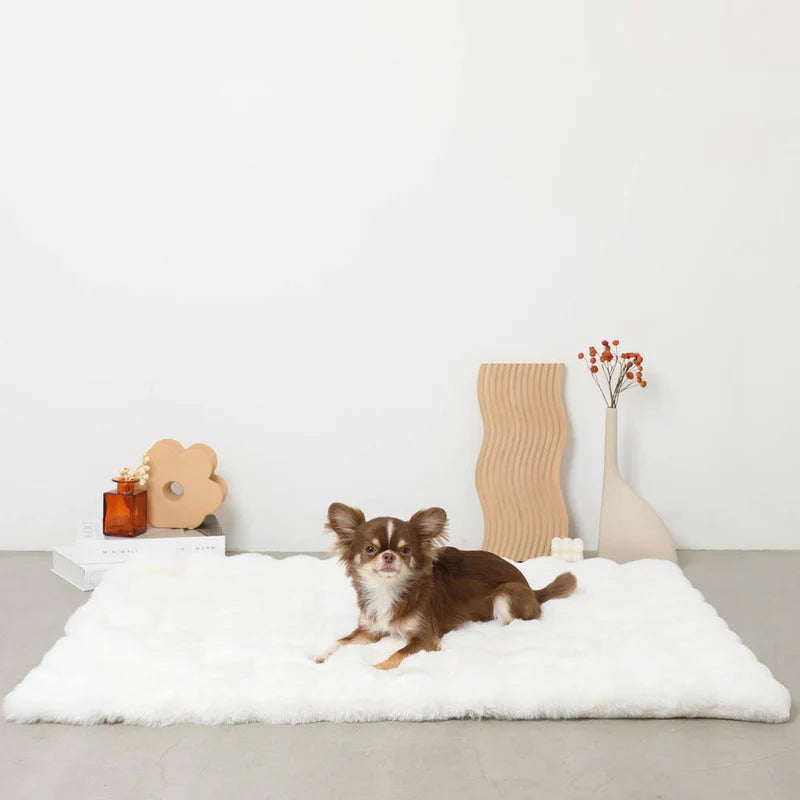 Mochi Fluffy Blanket