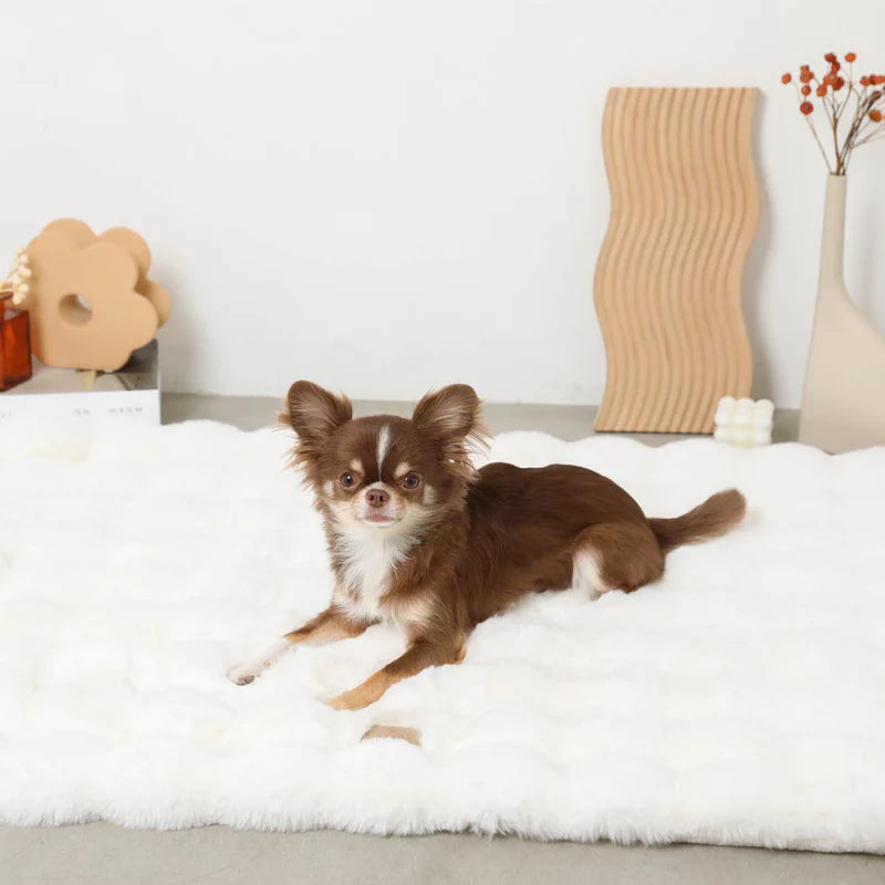 Mochi Fluffy Blanket