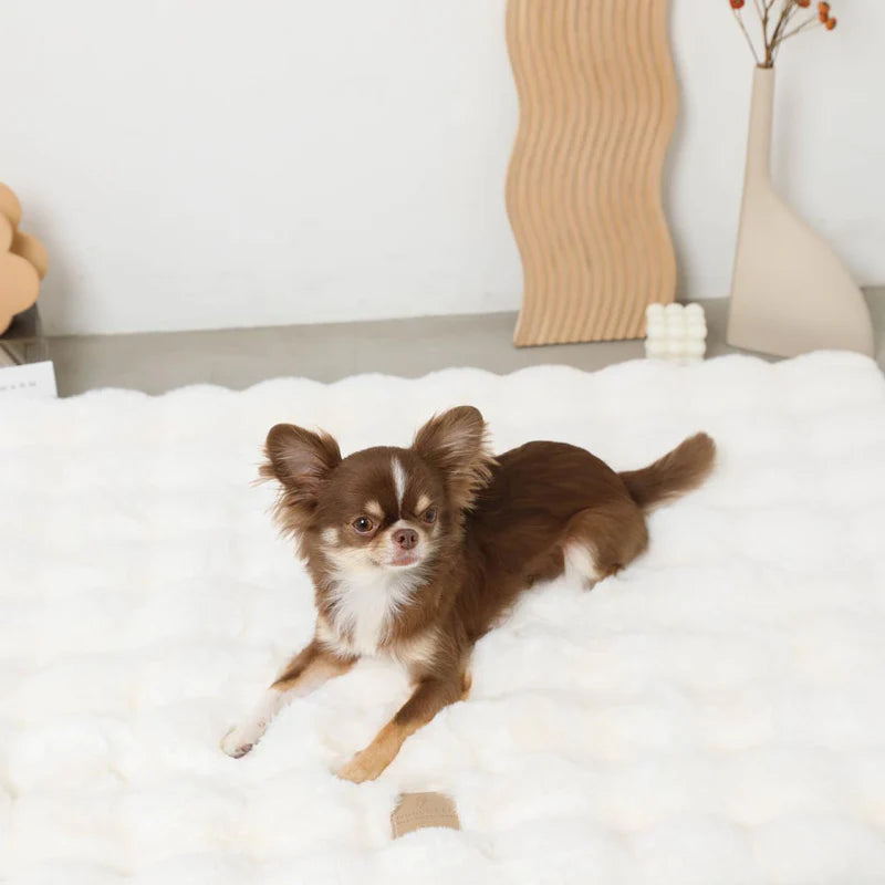 Mochi Fluffy Blanket