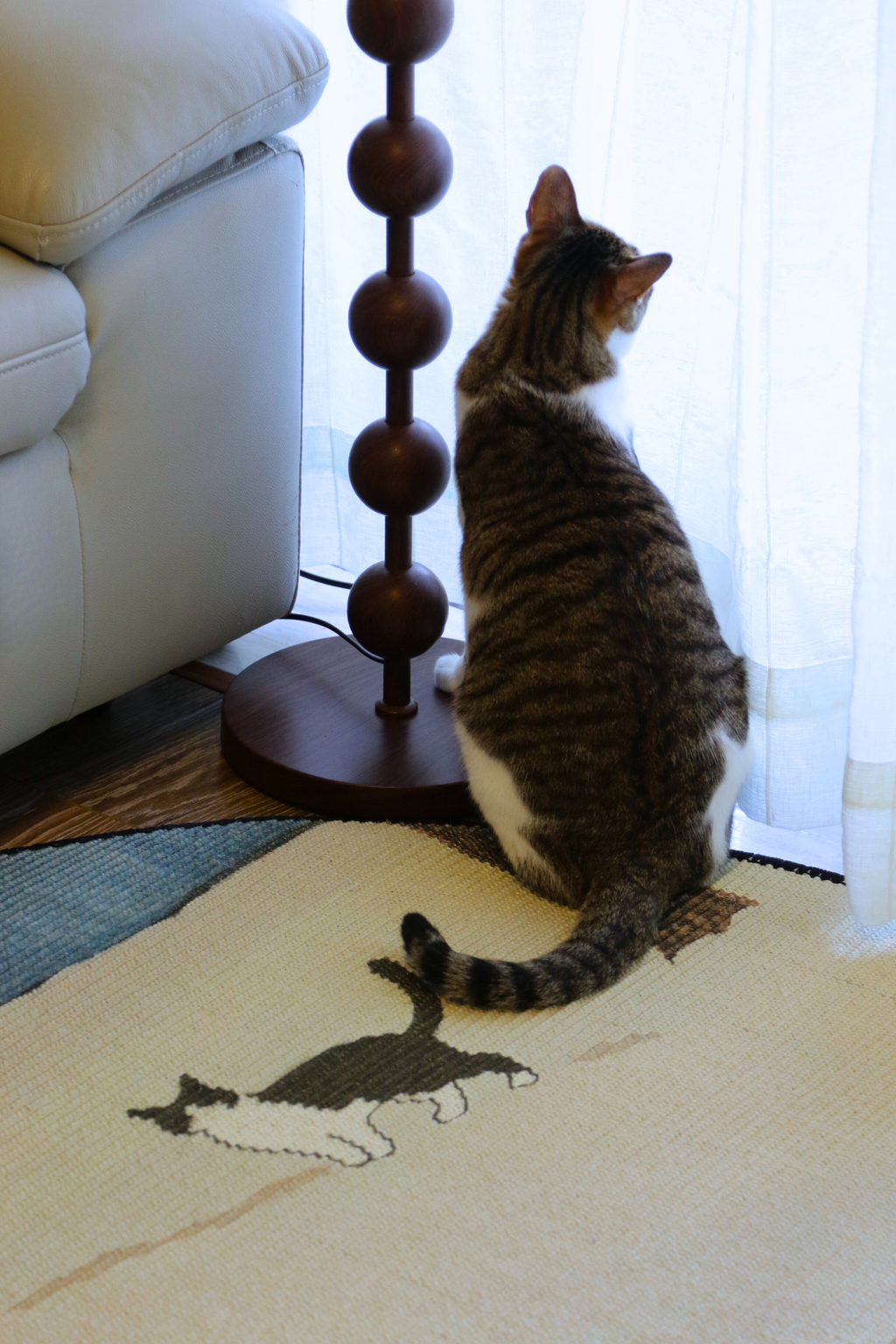 The Canvas Round - Winter