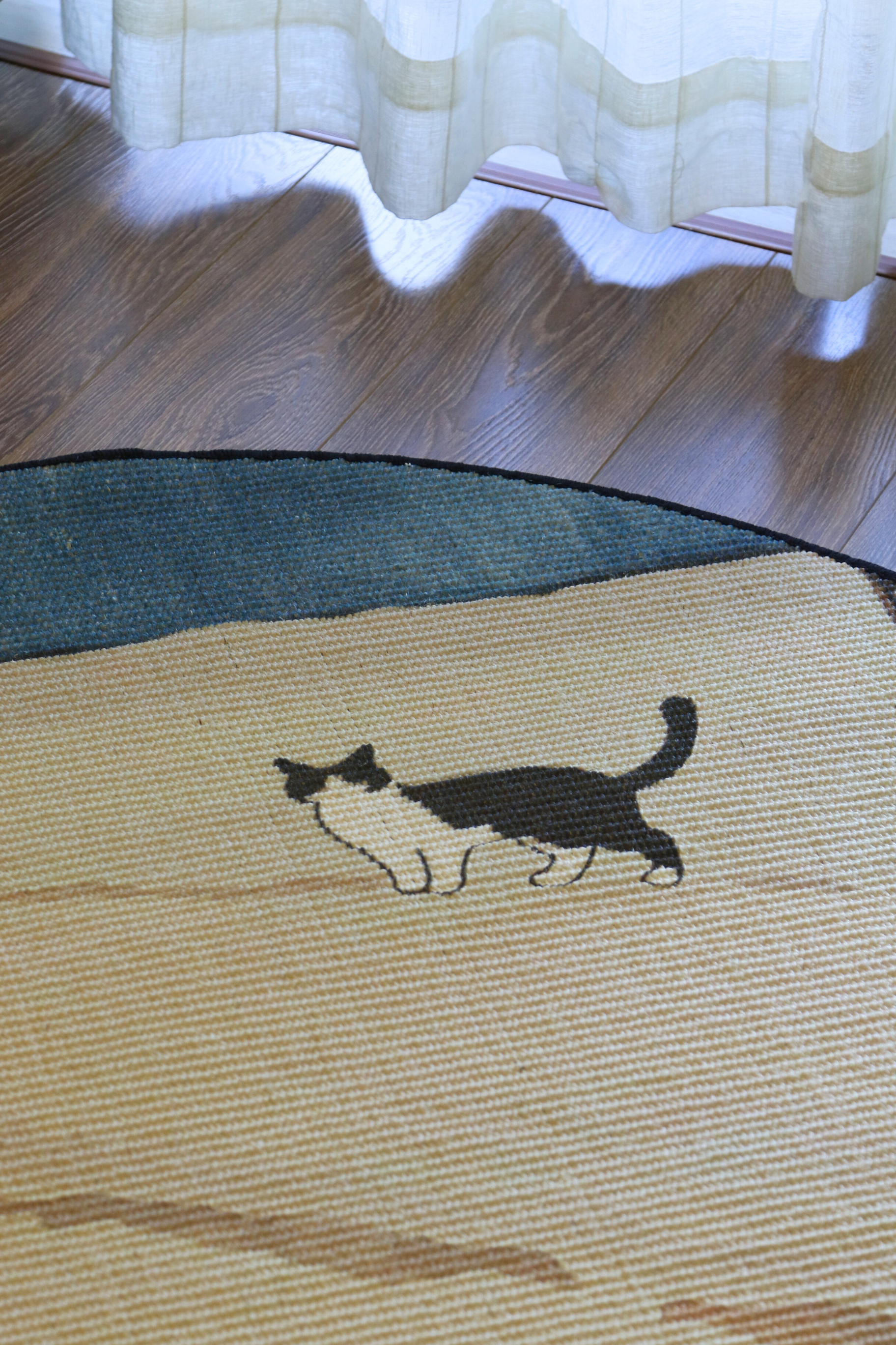 The Canvas Round - Winter