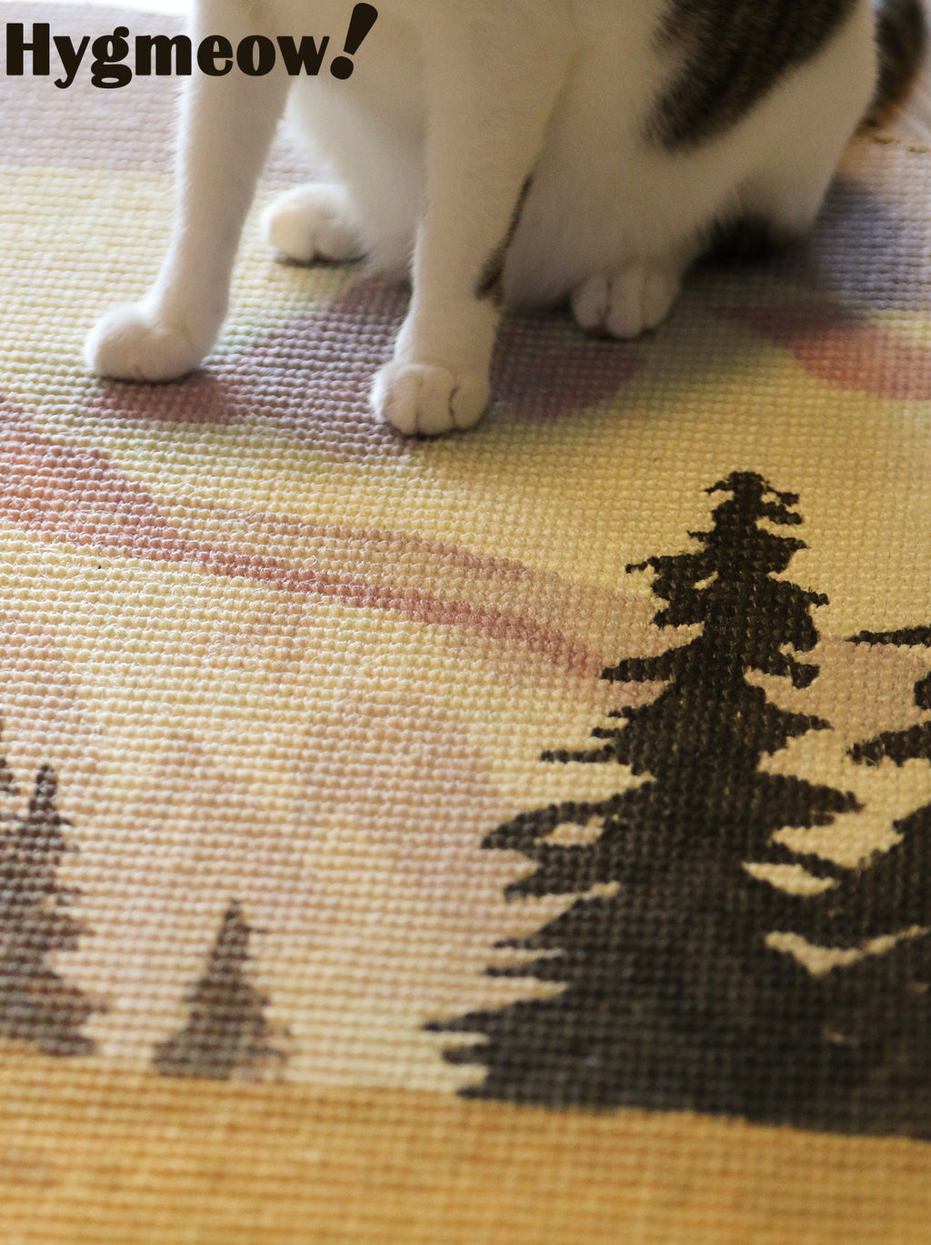 The Canvas Round - Autumn