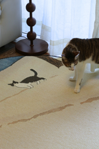 The Canvas Round - Winter