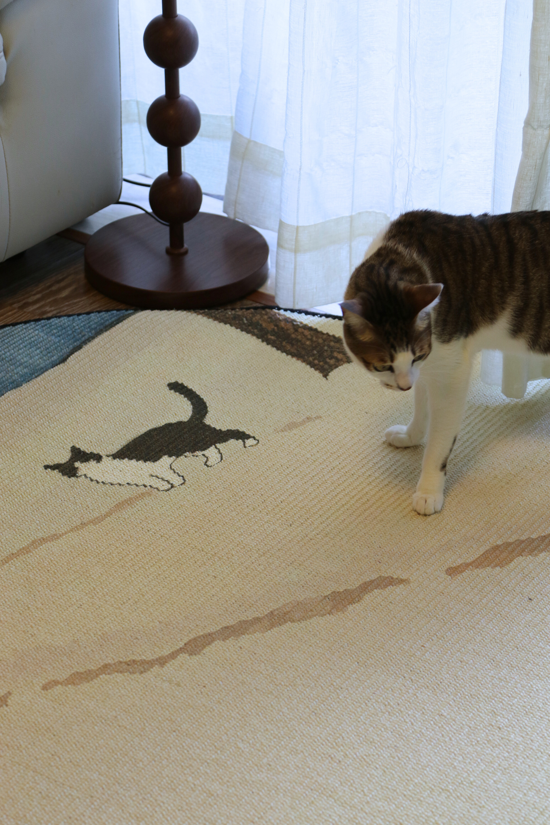 The Canvas Round - Winter