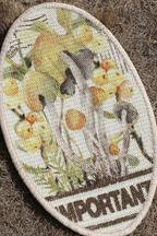 Armillaria's Archive