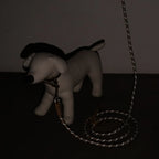 Two-Way Crossbody Lead - Mocha