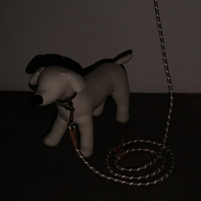 Two-Way Crossbody Lead - Mocha