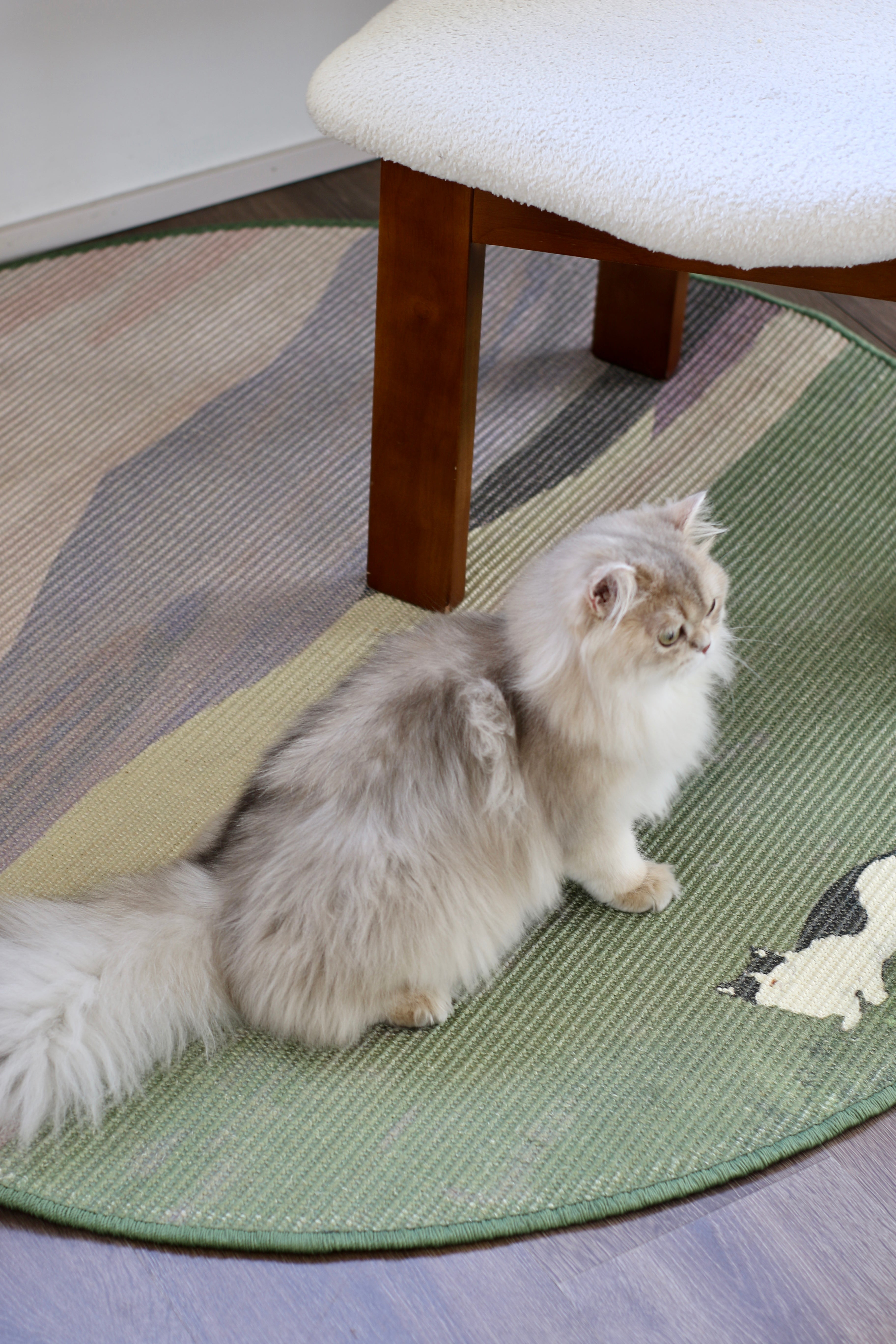 The Canvas Round - Spring