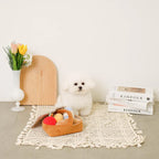 Picnic Set