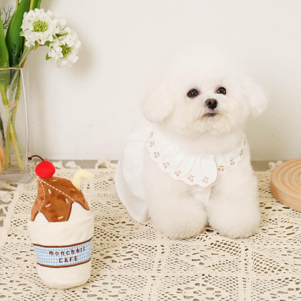 Enrichment Toy - Chocolate Whipped Drink