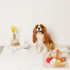Picnic Set