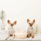 Puzzle Enrichment Toy - Strawberry Cake