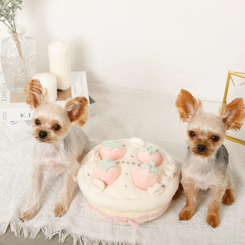 Puzzle Enrichment Toy - Strawberry Cake