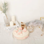 Puzzle Enrichment Toy - Strawberry Cake