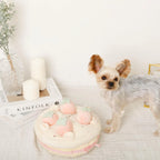 Puzzle Enrichment Toy - Strawberry Cake