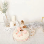 Puzzle Enrichment Toy - Strawberry Cake