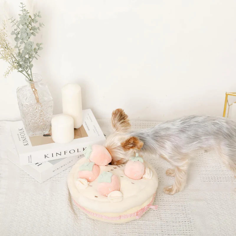 Puzzle Enrichment Toy - Strawberry Cake