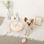 Puzzle Enrichment Toy - Strawberry Cake