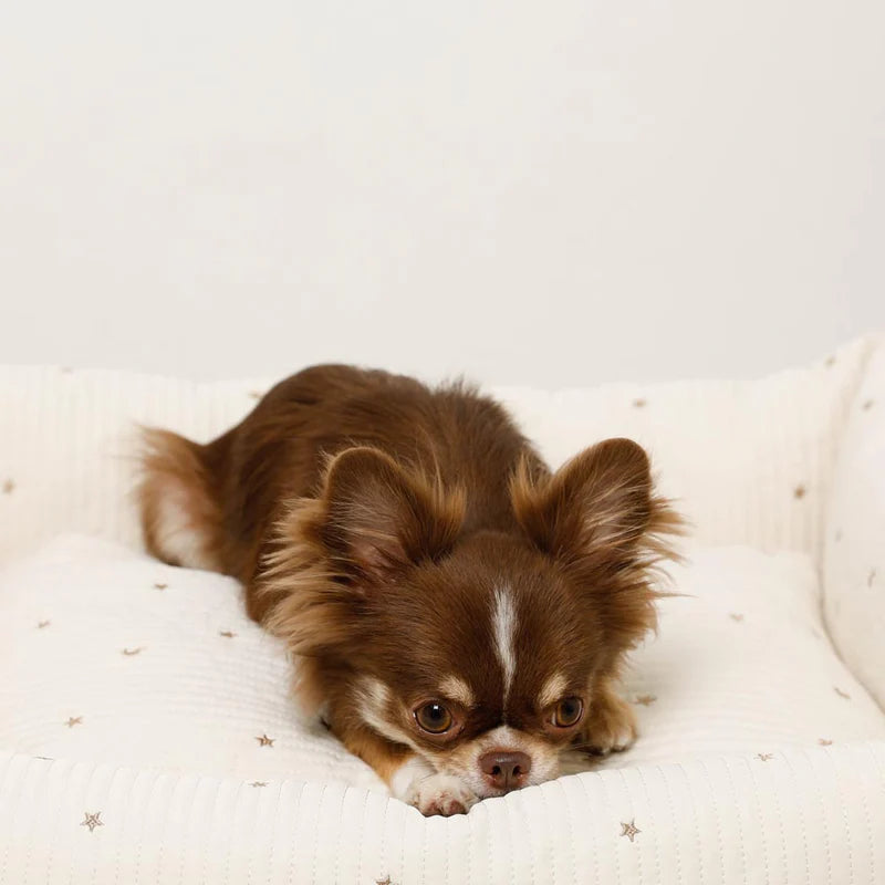 Water Repellent Embroidered  Star & Moon  Bed