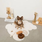 Plush Toy - Donuts