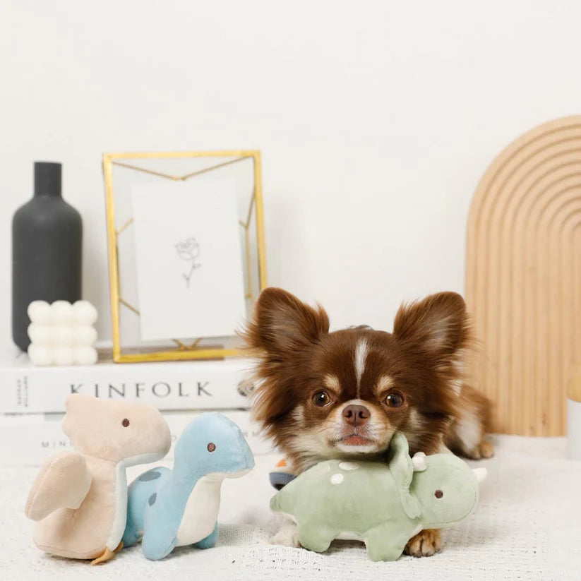 Plush Toy - Dinosaur Friends Set
