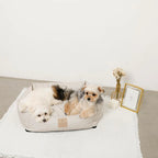 All Season Gingham Check Cushion Bed